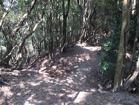 20140426hike (55)